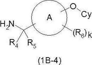 Figure JPOXMLDOC01-appb-C000202