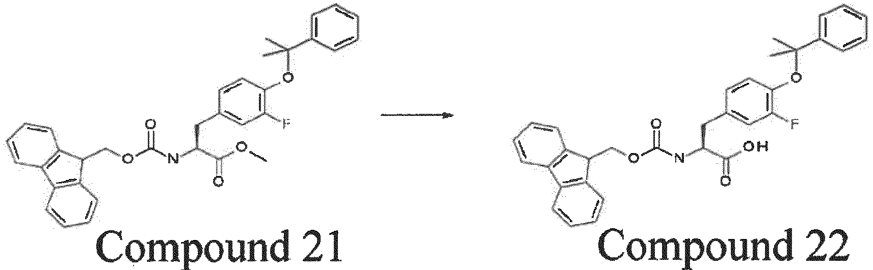 Figure imgb0046