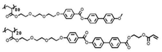 Figure JPOXMLDOC01-appb-C000042