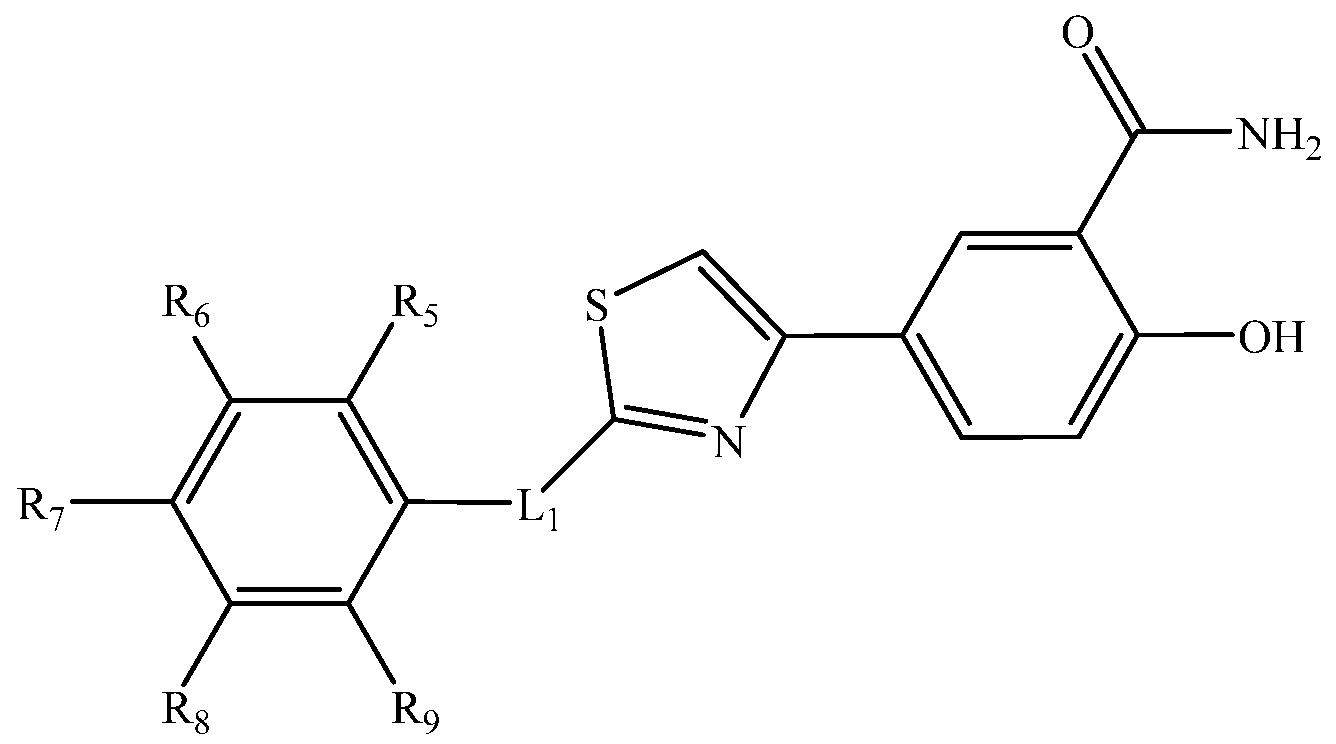 Figure imgf000006_0001