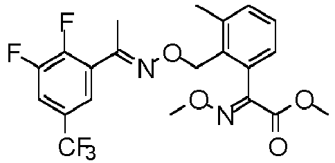 Figure imgb0491