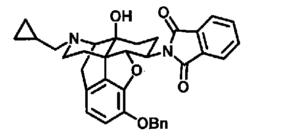 Figure JPOXMLDOC01-appb-C000016