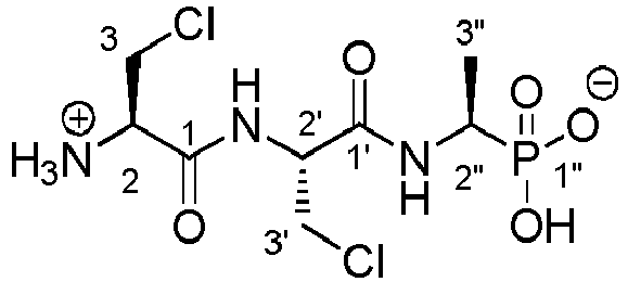 Figure imgb0019