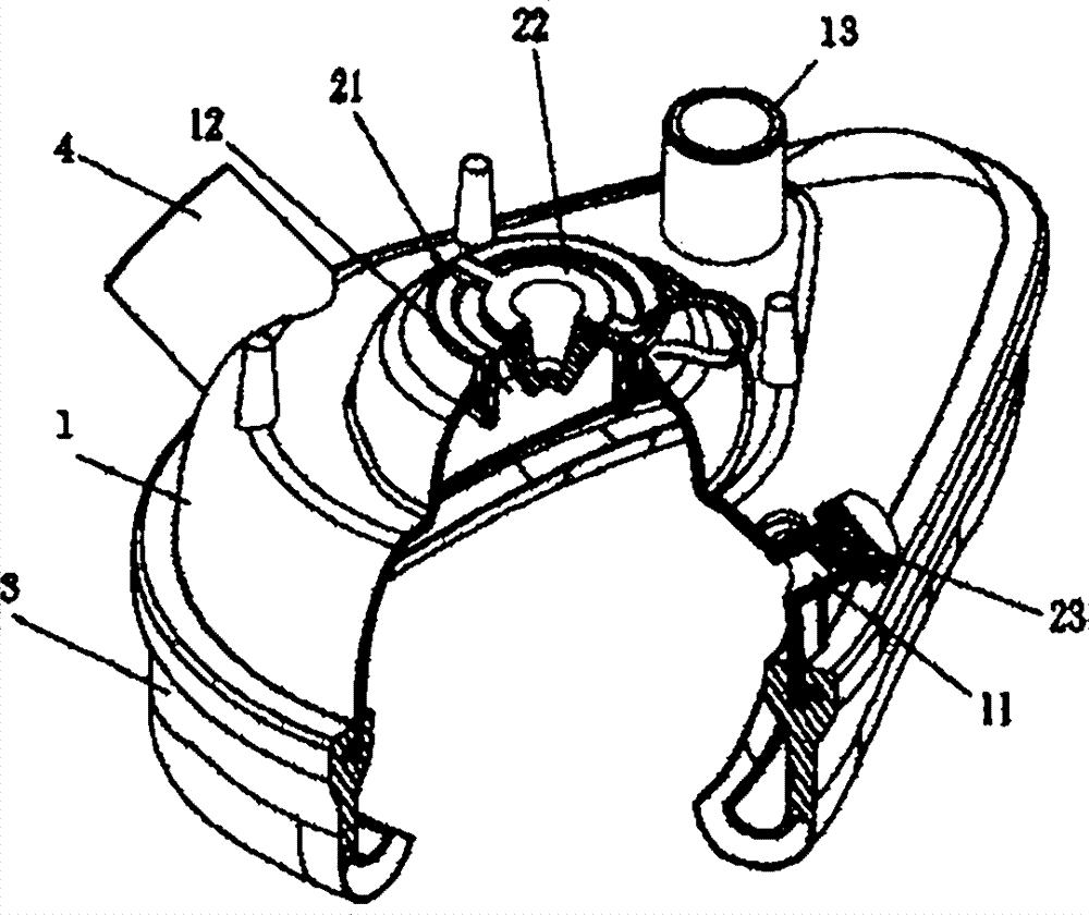 Figure 201010147462