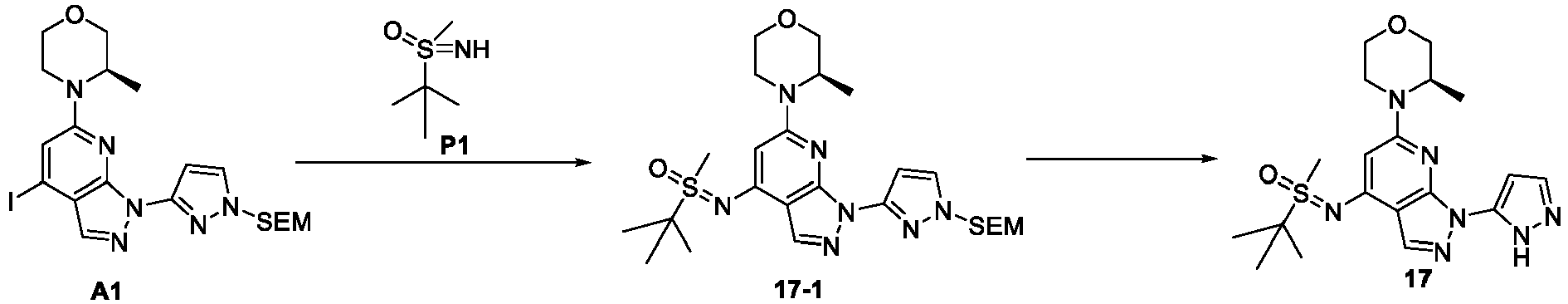 Figure imgb0100