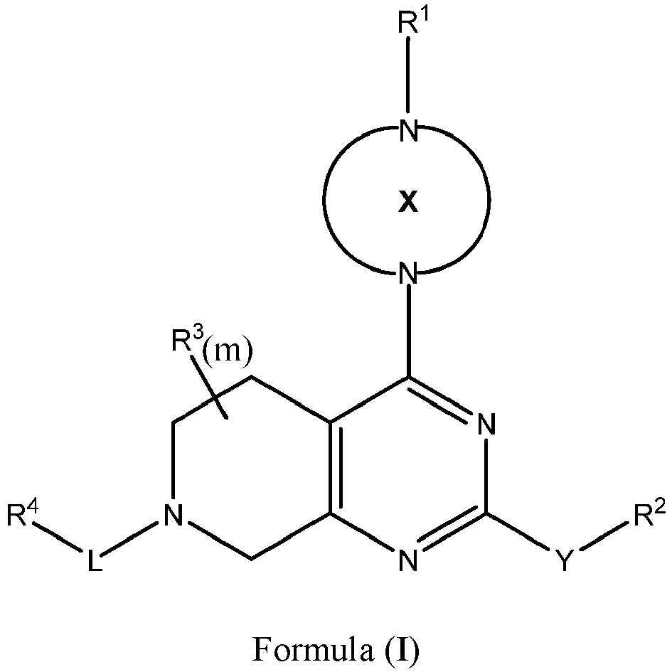 Figure imgb0002