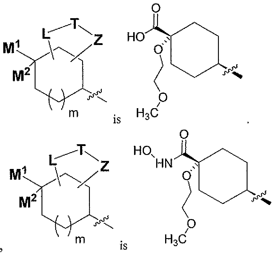 Figure imgf000008_0001
