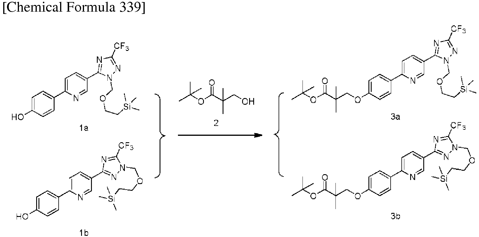 Figure imgb0895