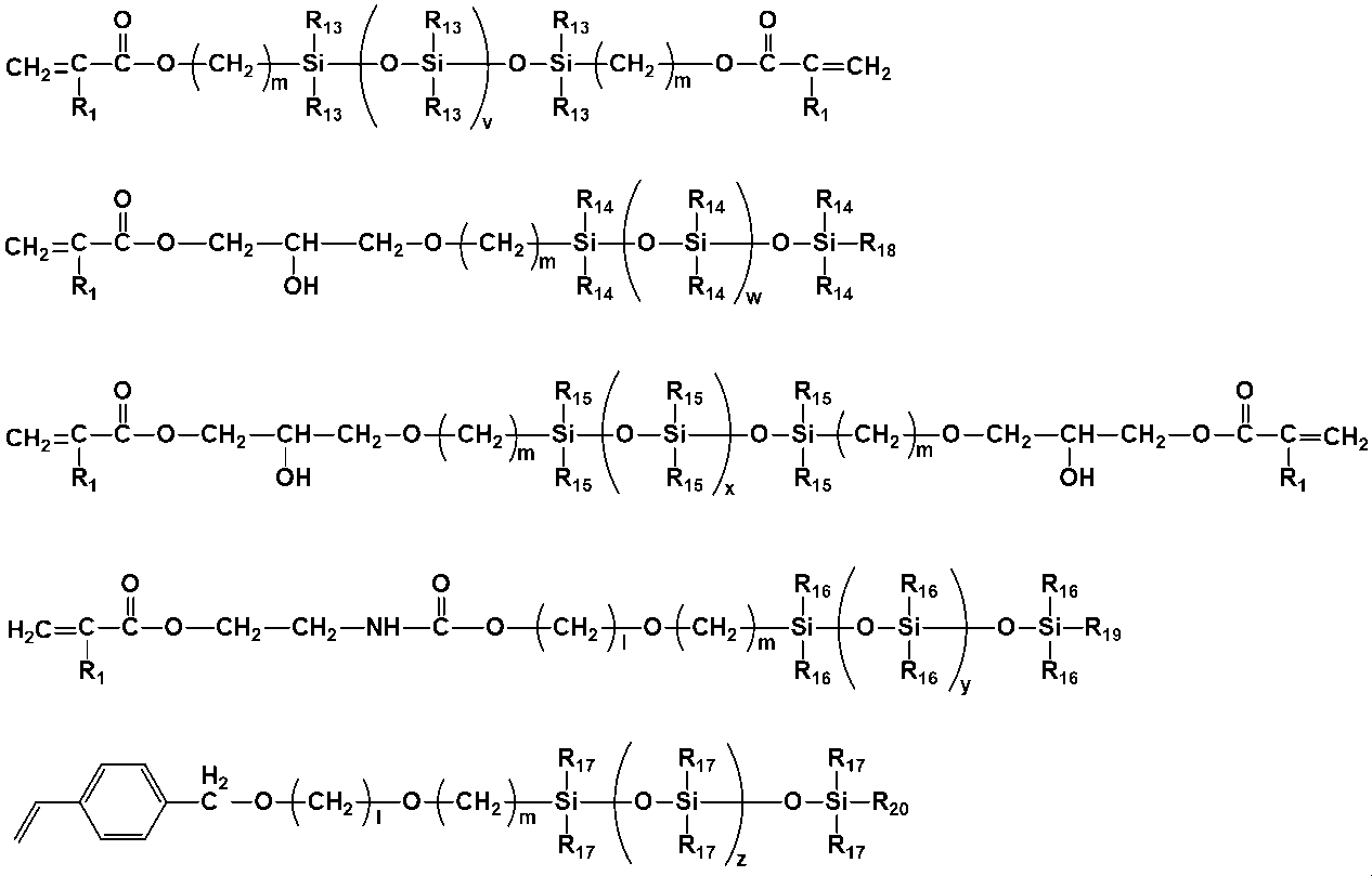 Figure JPOXMLDOC01-appb-C000029
