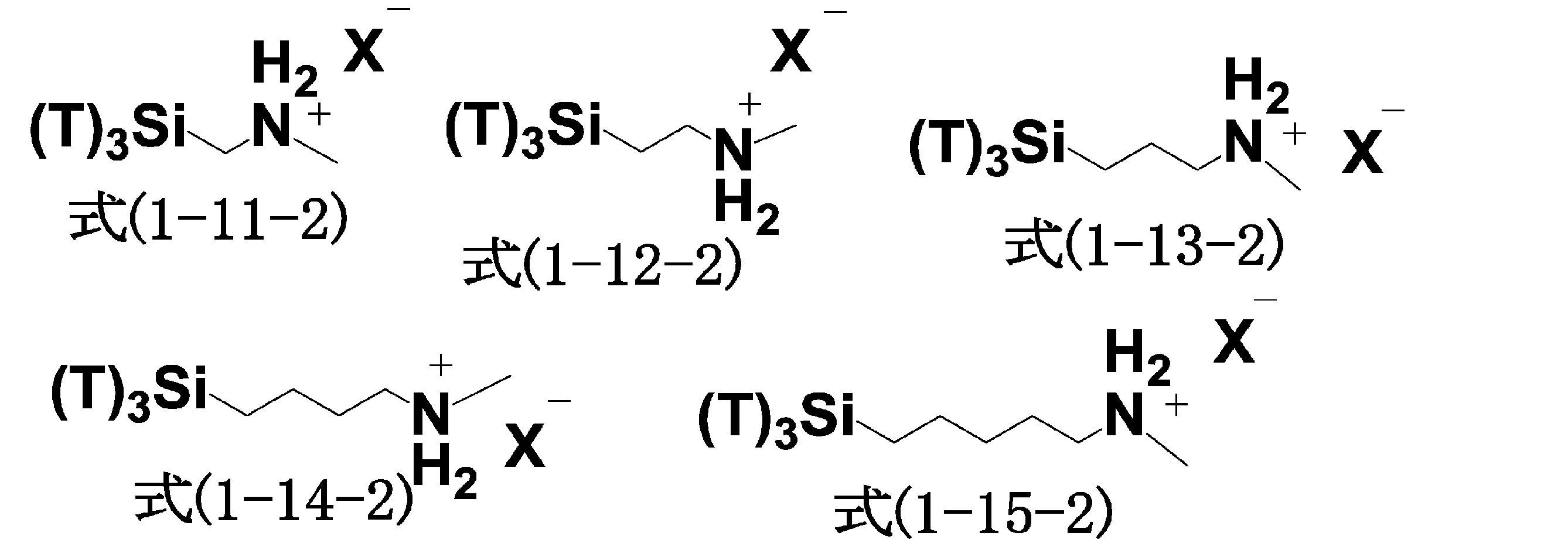 Figure JPOXMLDOC01-appb-C000045