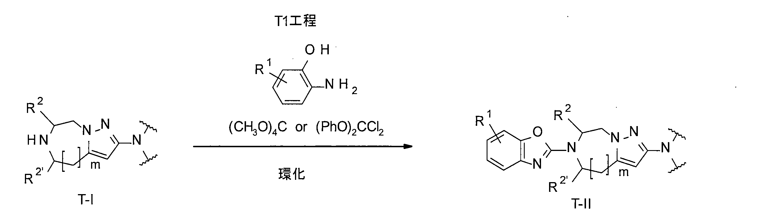 Figure JPOXMLDOC01-appb-C000047