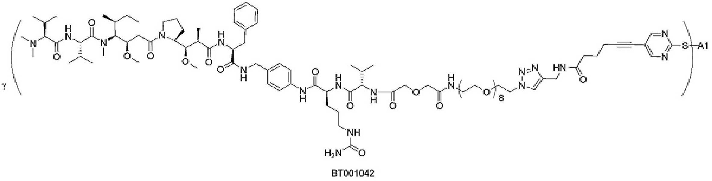 Figure pct00493
