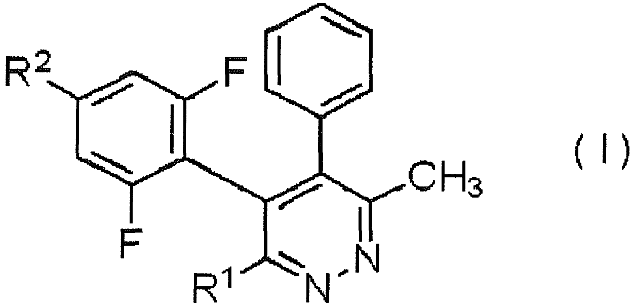 Figure imgb0002