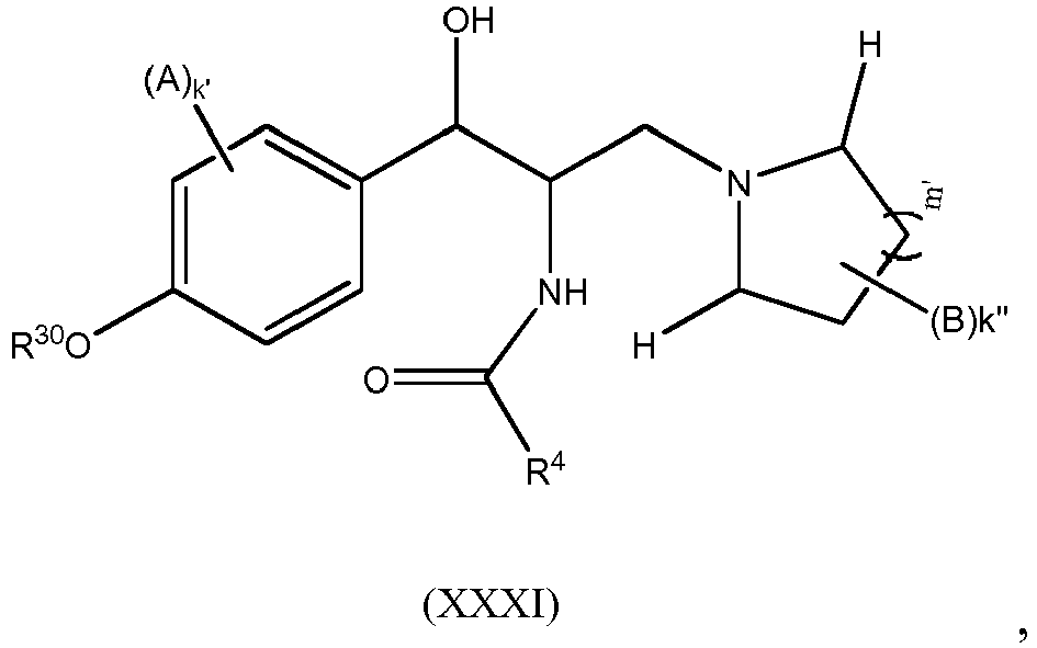 Figure imgb0024