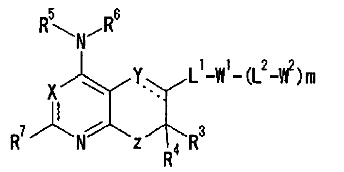 Figure imgb0002