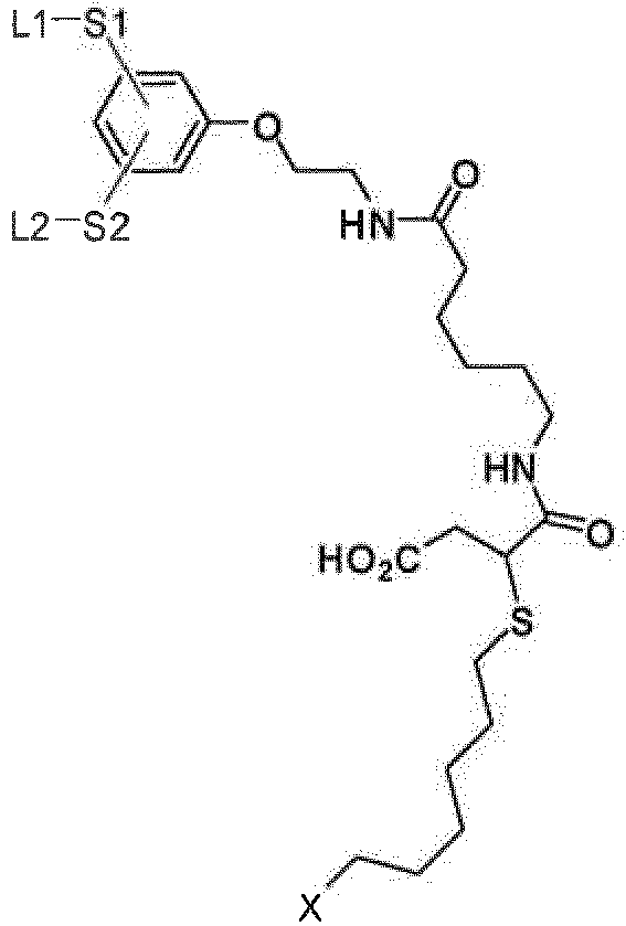 Figure imgb0055