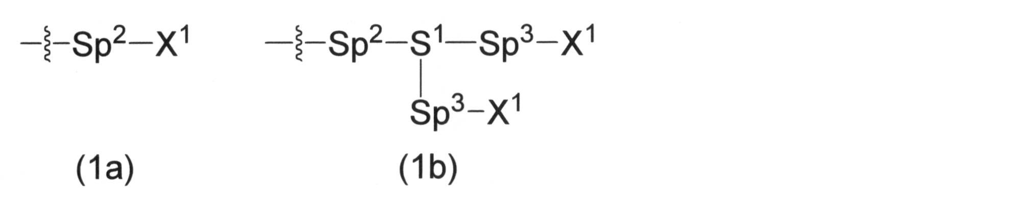 Figure JPOXMLDOC01-appb-C000040