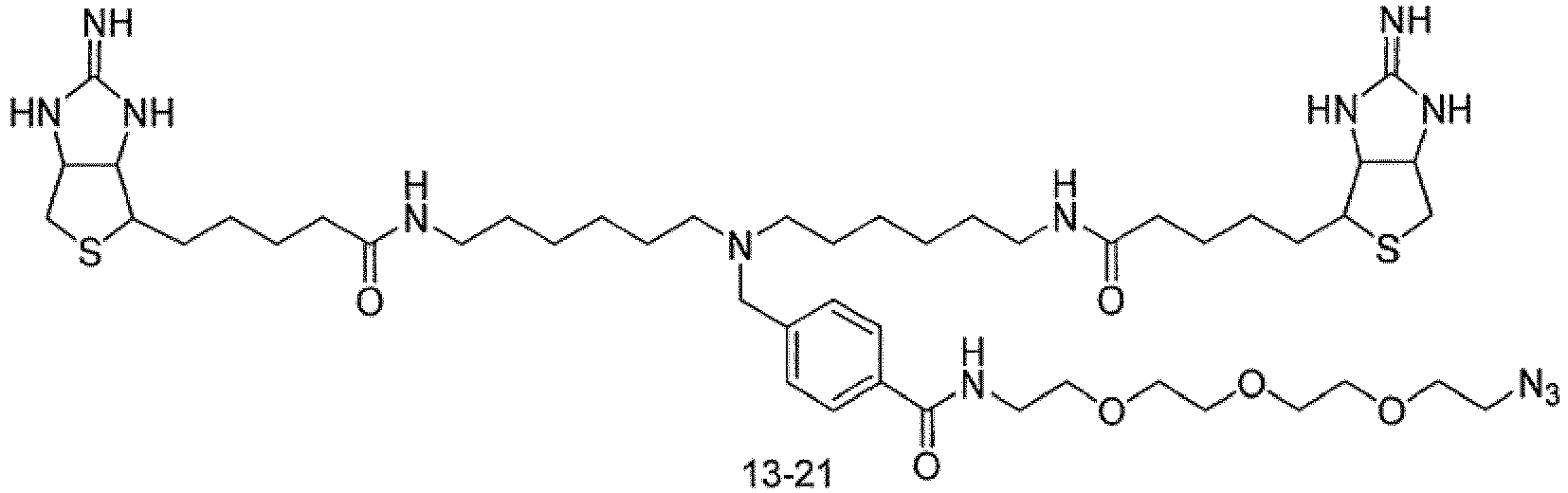 Figure imgb0113