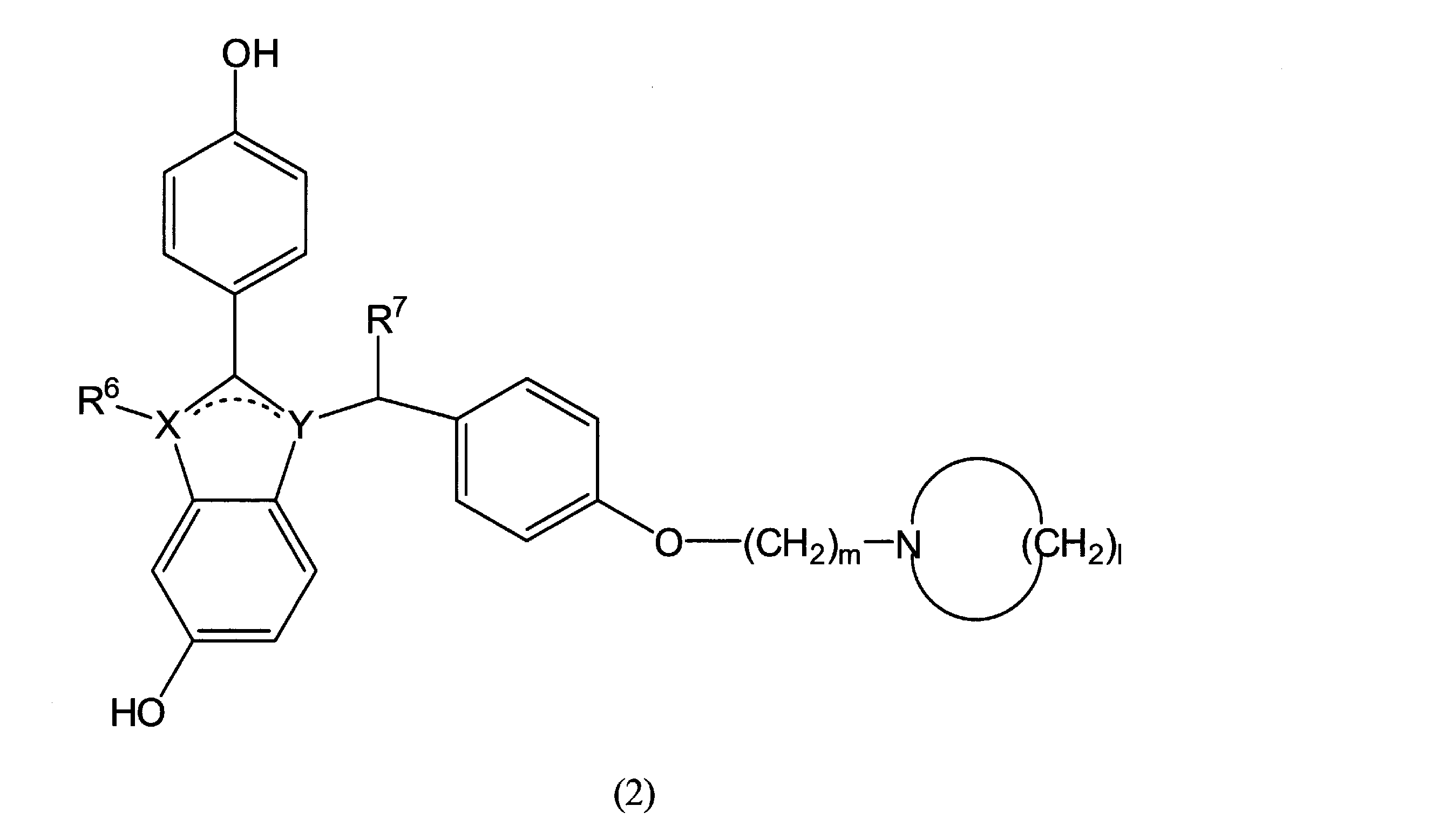 Figure JPOXMLDOC01-appb-C000026
