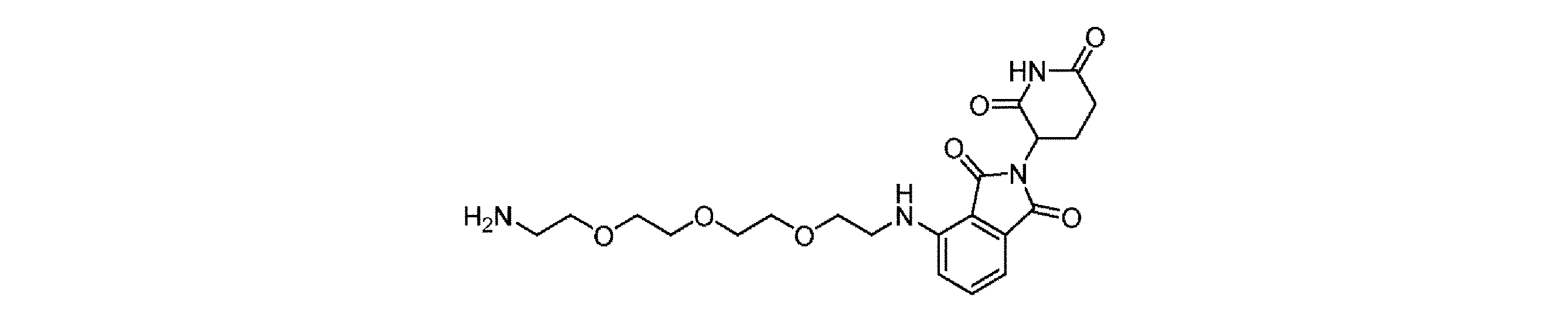 Figure 0007600123000381
