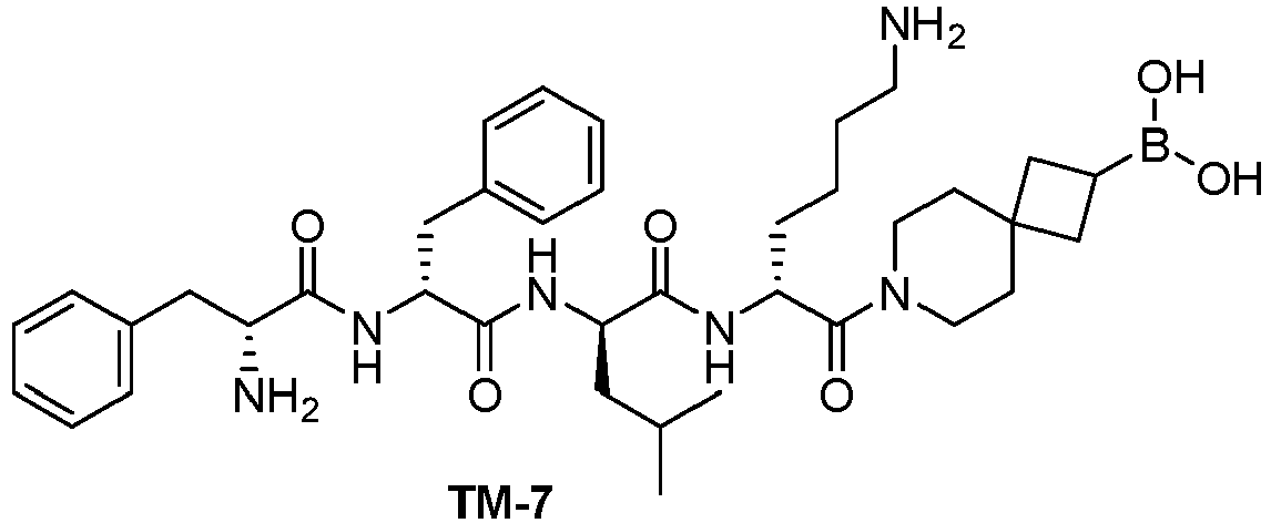 Figure imgb0029