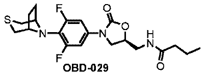 Figure 0007585405000231