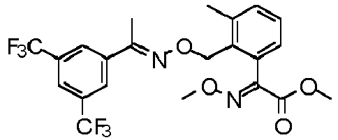 Figure imgb0520
