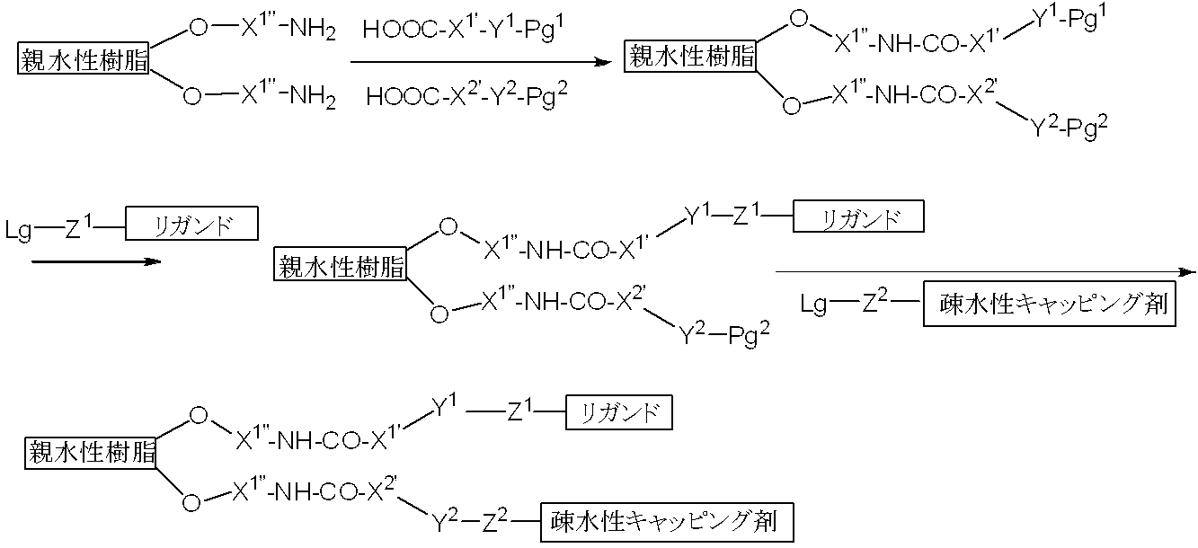 Figure JPOXMLDOC01-appb-C000020