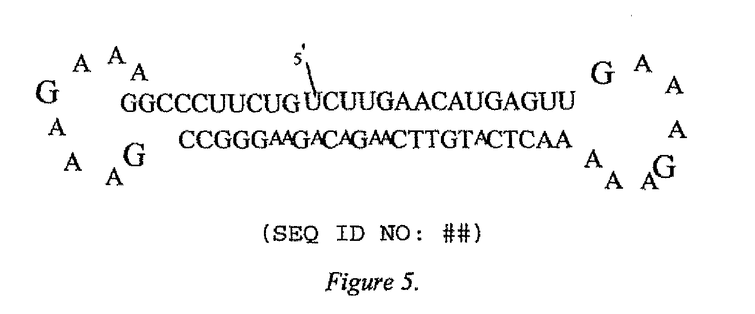 Figure imgb0005