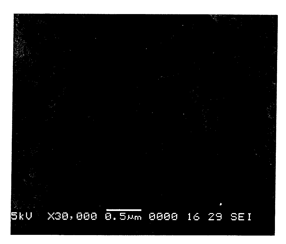 Figure 200610030360