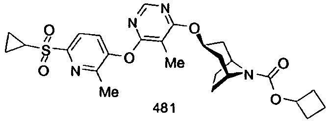 Figure imgb0539