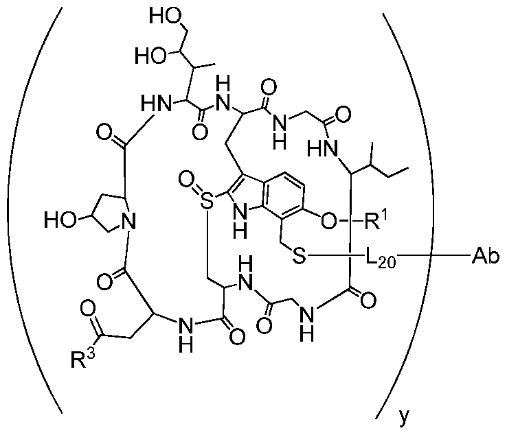 Figure imgf000185_0002