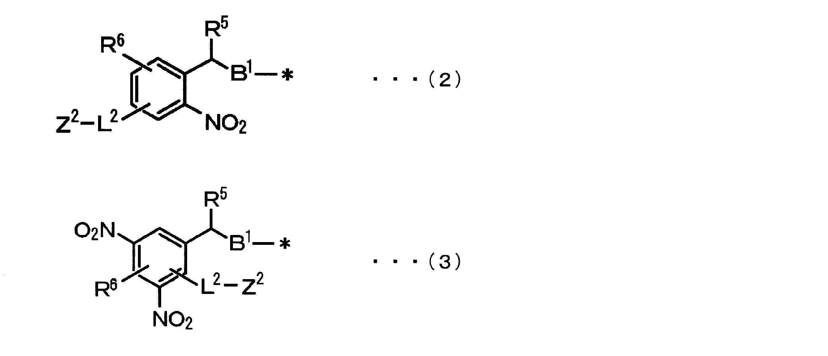Figure JPOXMLDOC01-appb-C000002