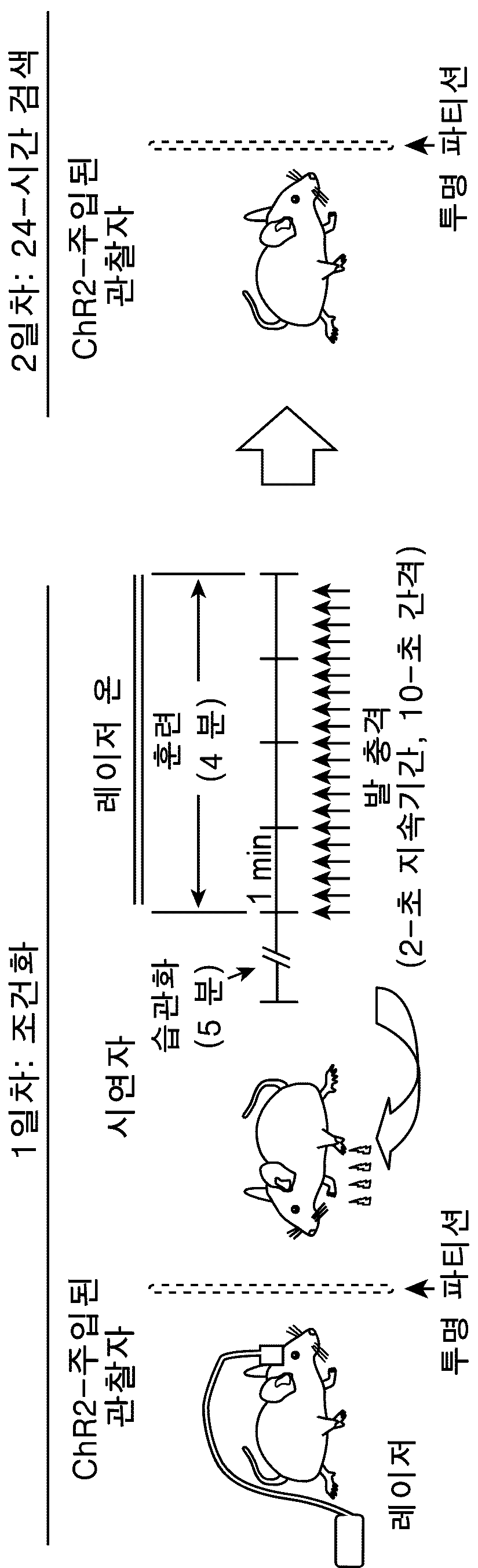 특허 도면 79