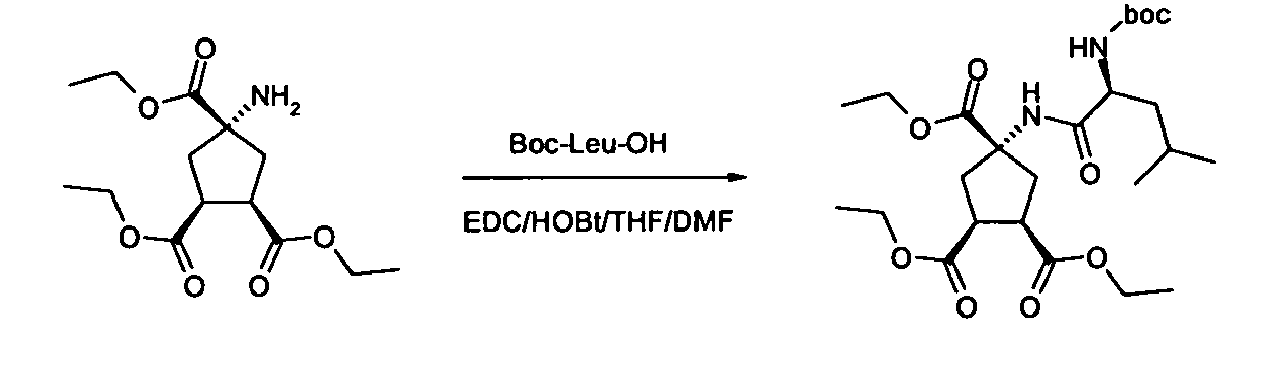 Figure imgb0009