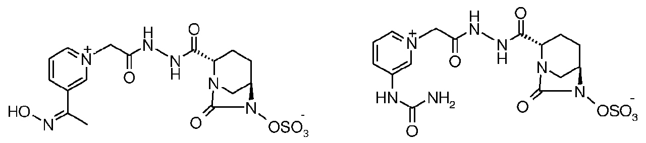 Figure imgf000031_0002