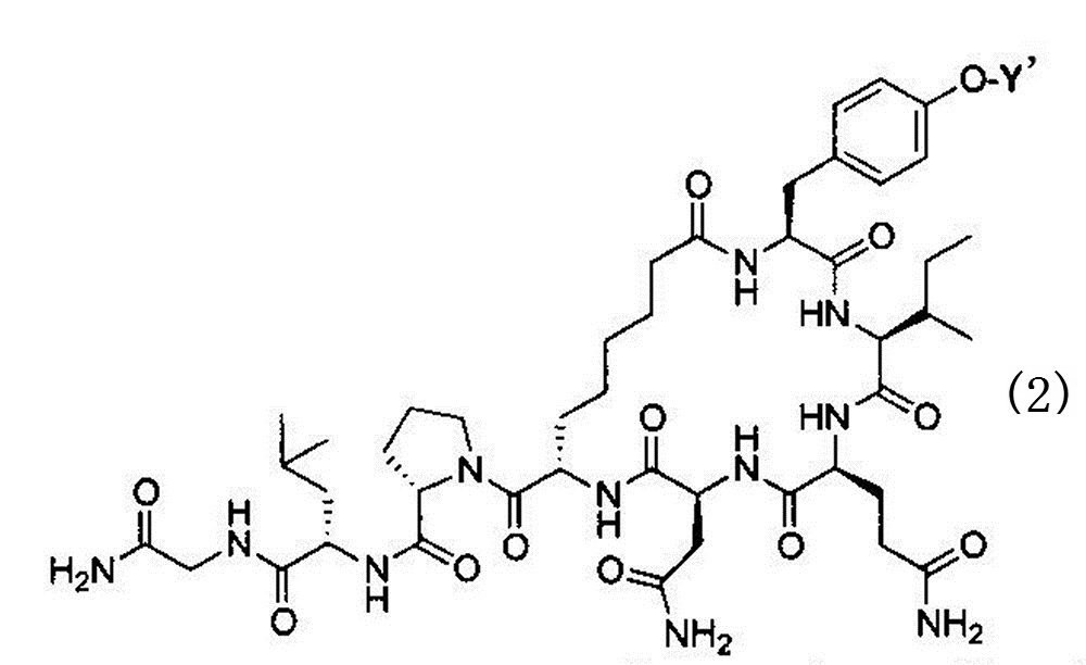Figure JPOXMLDOC01-appb-C000004