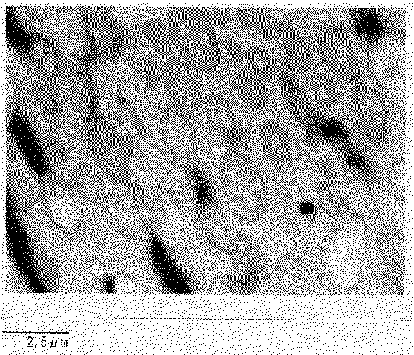 Jpa 成形用樹脂及びその製造方法 Google Patents