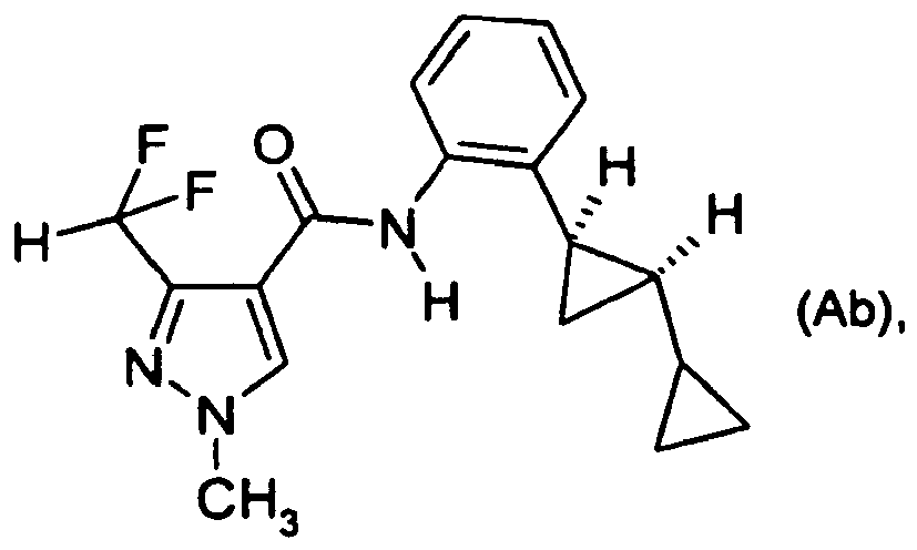Figure imgb0010