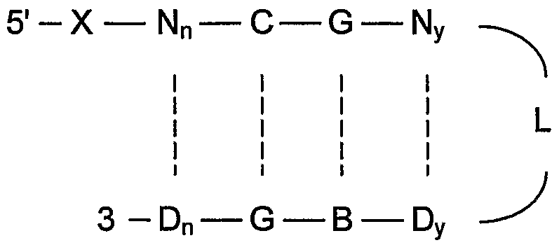 Figure imgf000009_0001