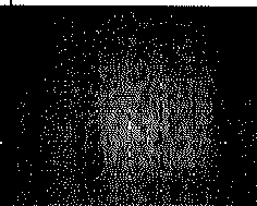 Figure imgb0013