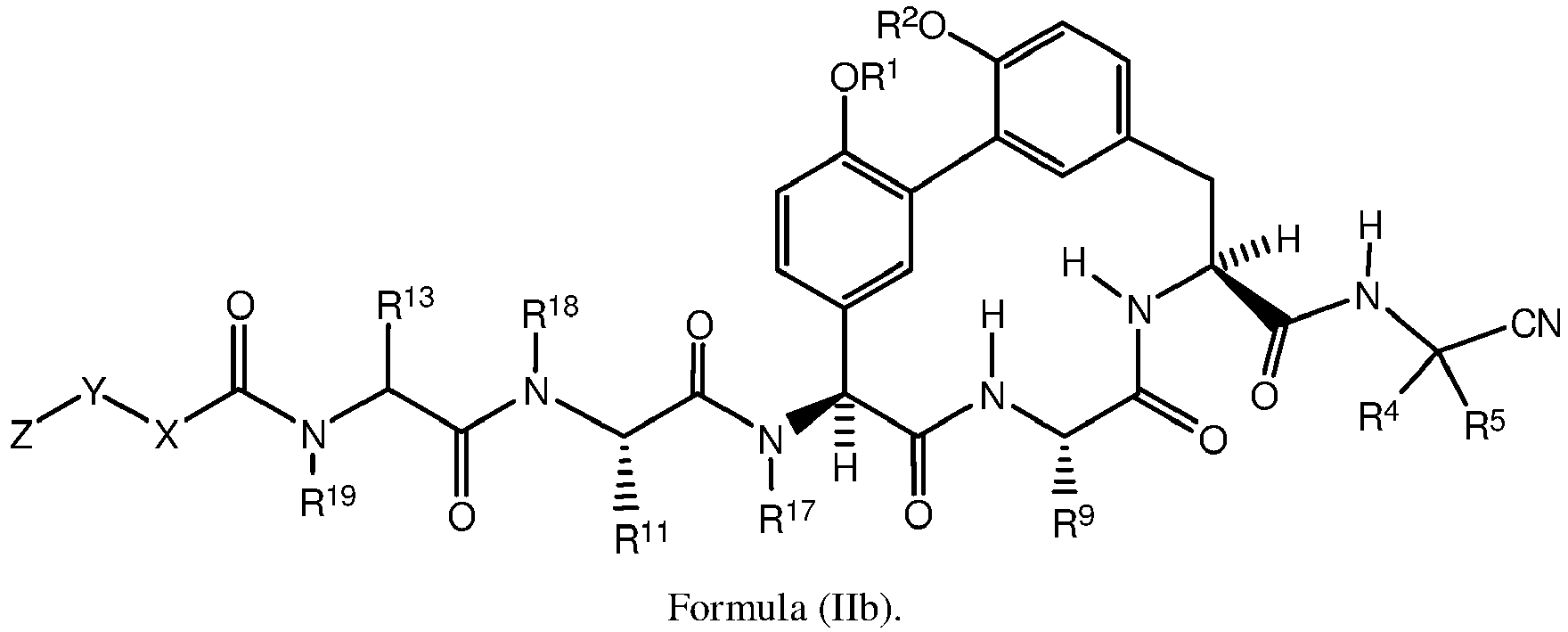 Figure imgb1102