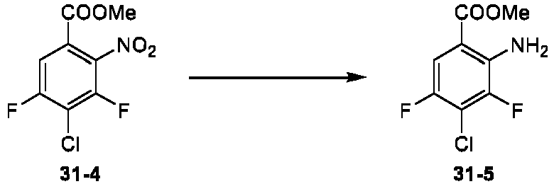Figure imgb0481