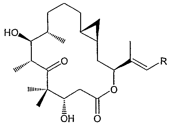 Figure imgf000059_0003