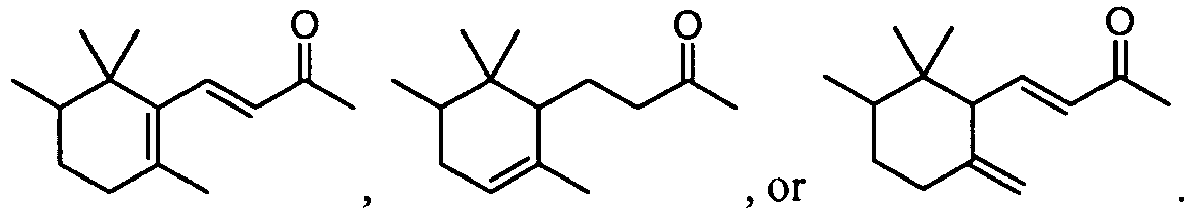 Figure imgb0024