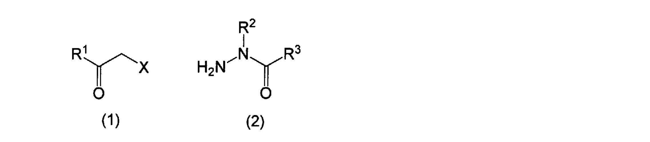 Figure JPOXMLDOC01-appb-C000015