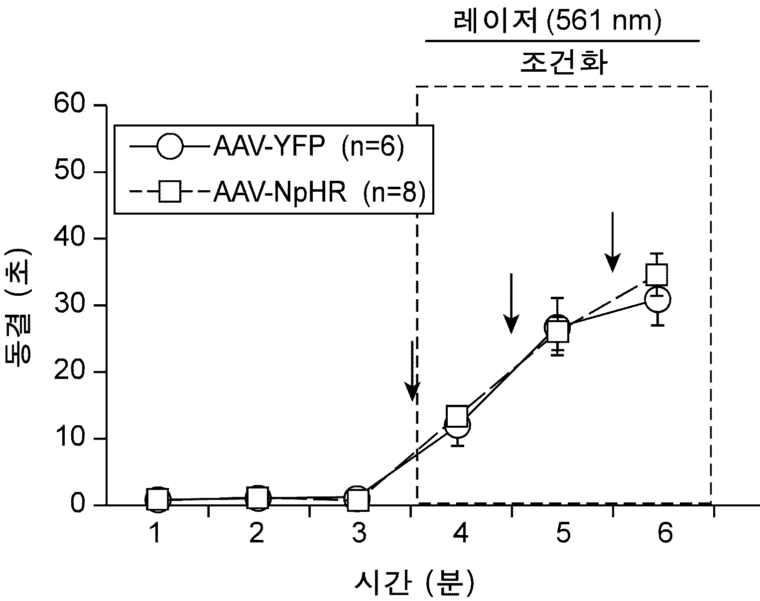 특허 도면 31