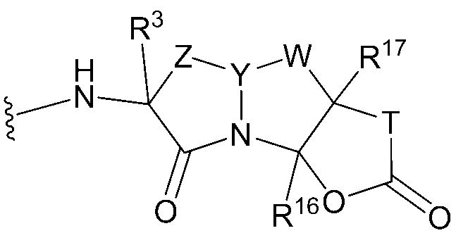 Figure JPOXMLDOC01-appb-C000144