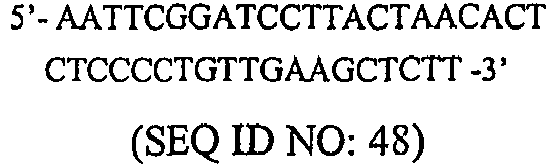 Figure imgb0019