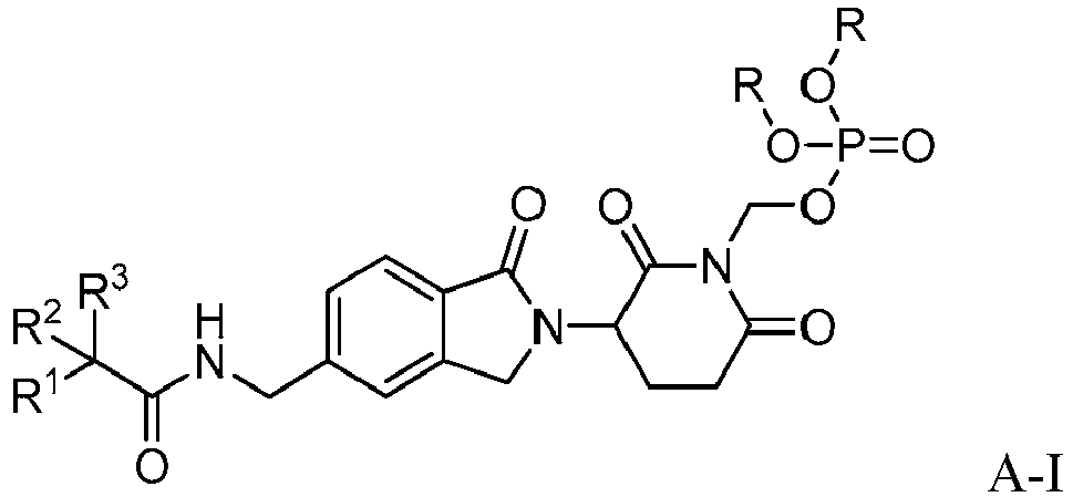 Figure imgb0004